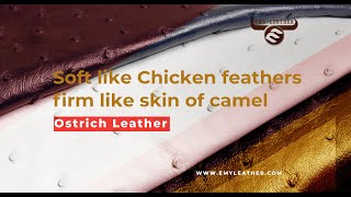 Soft like Chicken feathers, firm like skin of camel screenshot 5