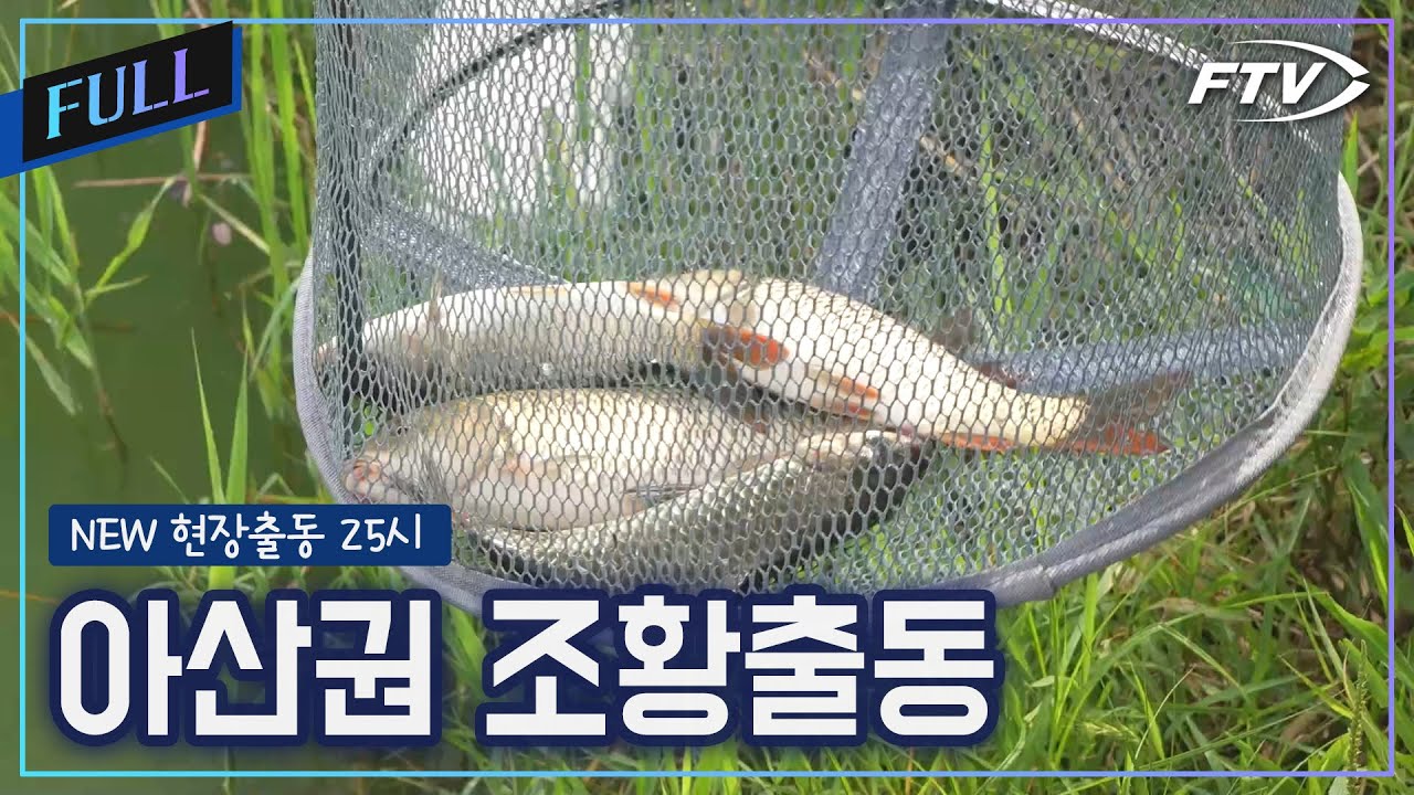 아산권 조황출동 [NEW현장출동25시/73회]