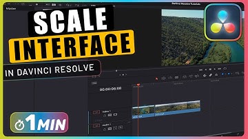 How to SCALE Davinci Resolve INTERFACE
