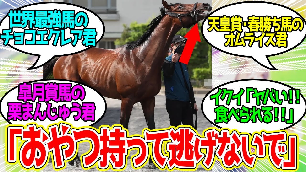 みんな、おどうから逃げろ!!に対するみんなの反応！【競馬 の反応集】