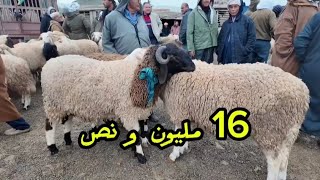 سوق اليوم المعامرية بالشلف ساوموه 14.5 مليون و و البيع 16 مليون و نصف