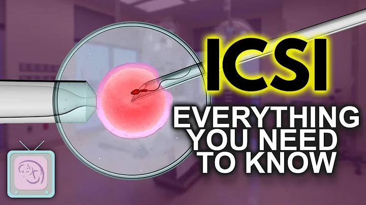 IVF ICSI Procedure - Important things you need to know - DayDayNews