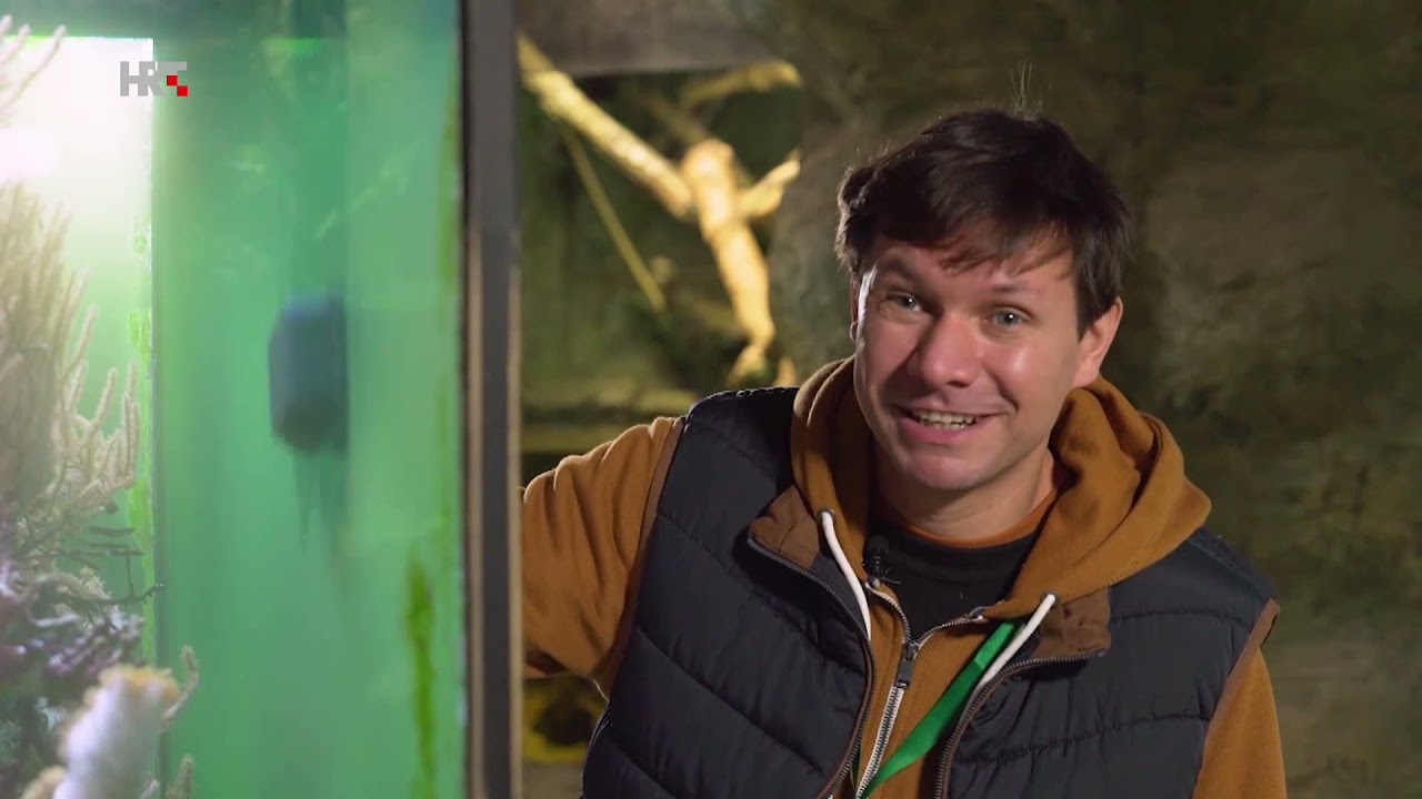 Volim životinje ZOO ep.5 Čišćenje nastambi