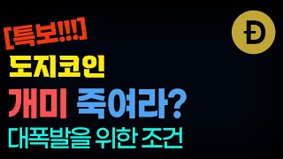 [특보!!!]도지코인 개미를 죽여라? 대폭발을 위한 조건 #도지코인 #도지코인전망