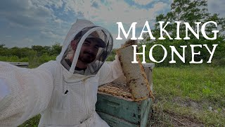 Optimizing Honey Production in a Commercial Operation!