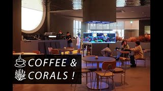 OMG CORALS & CAFFEINE :D - We found Seoul's coolest saltwater CAFE ! by Fragbox Corals 9,126 views 1 month ago 25 minutes