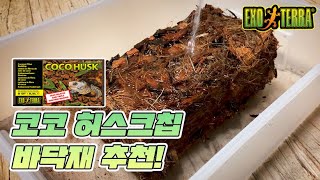 엑소테라 코코넛 허스크칩 바닥재 추천 | 파충류와 양서류 바닥재 추천 | 습도유지 최강 바닥재 허스크칩 [별거농장]