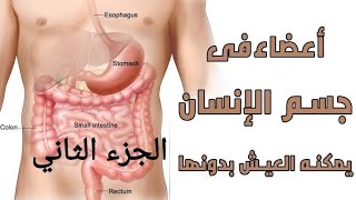 اعضاء فى جسم الانسان ممكن يعيش من غيرها الجزء الثاني