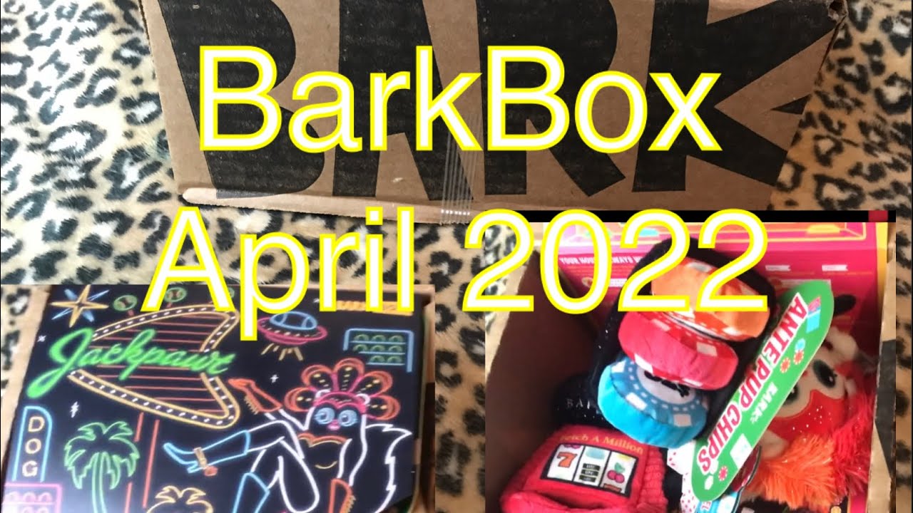 BarkBox April 2022 Unboxing.Jackpawt Is This Months Theme.Adorable Toys awesome Treats Review
