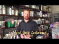 Invict Gold Cockroach Bait - redwoodchemical.com