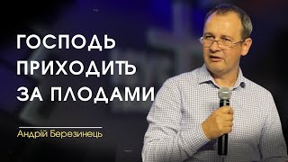 Господь приходить за плодами | Андрій Березинець | Церква «Слово Віри» | 20.08.2023