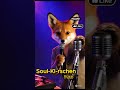 SKI füxe #germanhiphop #musik #90hiphop #classics #soulmusic #soulkirschen #motown #fuchs