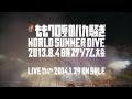 特報映像「ももクロ夏のバカ騒ぎ WORLD SUMMER DIVE 2013.8.4 日産スタジアム大会」…