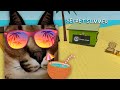 Raise a Floppa 2 The SUMMER UPDATE That you Probably Didn't Know ..