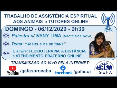 Assista: Trabalho de Assistência Espiritual aos Animais ONLINE - c/ IVANY LIMA (06/12/2020)