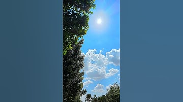 #قران_كريم #قران #سورة_الاحزاب #nature #calm #quran #fyp #viralvideo #viraltiktok #fypシ゚viral