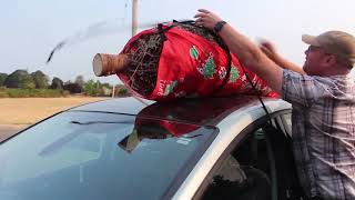 Directions On Using Your Tree Hugger The Kirk Company