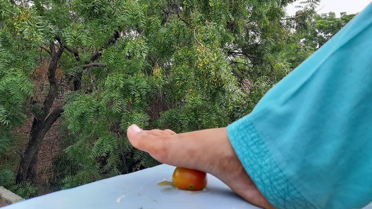 🍅Tomato feet scrub feet whiteningTomato feet worshipcrushing video