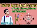 Trick to Write Floral Formulas of Family Fabaceae, Solanaceae & Liliaceae | Morphology via NCERT