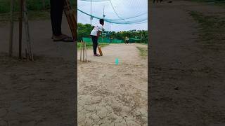 #cricket in one short flick drive