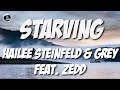 Download Hailee Steinfeld Starving Mp3 Download Mp4 Mp3