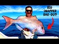 Woke up late, BAGGED OUT on BIG SNAPPER!!
