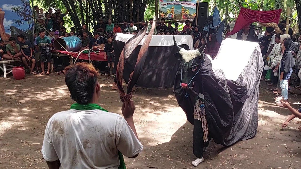 Bantengan Ngamuk New Turonggo Wisanggeni Live Pasar kebon ngrayung Kutorejo Mojokerto