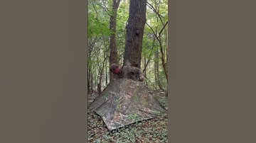 Nukem Hunting Blinds