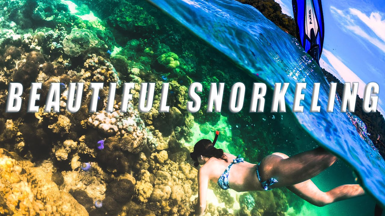 Best Snorkeling in Koh Lipe and beyond Thailand YouTube