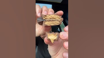 Are these better than Reese’s?? #traderjoes #reeses