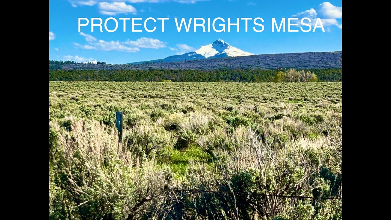 PROTECT WRIGHTS MESA - NORWOOD, CO
