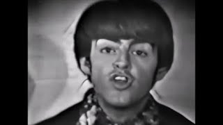 NEW * Good Thing - Paul Revere & The Raiders {Stereo} 1966