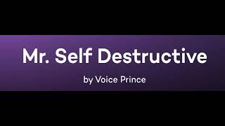 Mr. Self Destructive