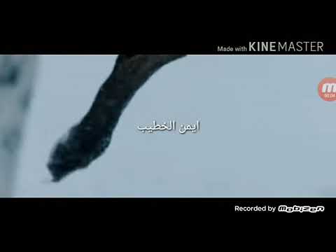 باليلي وياليلا 