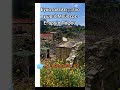 Εγκαταλελειμμένο χωριό Μούσερε #cyprus #viralvideo #abandoned