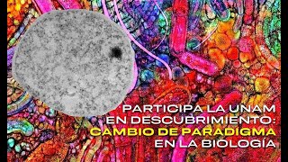 ¡Descubrimiento histórico!: hallazgo científico cambia paradigma en la biología - UNAM Global