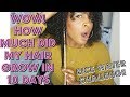 RICE WATER RESULTS: 10 DAY EXTREME HAIR GROWTH CHALLENGE | DID IT GROW | MEL'S World