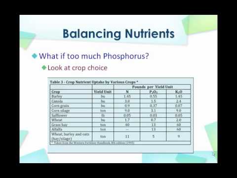 How to Balance the Nutrients in Your Field