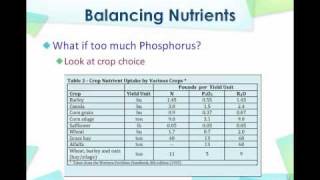 How to Balance the Nutrients in Your Field