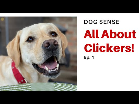 Dog Sense (Ep.1) - All About Clickers!