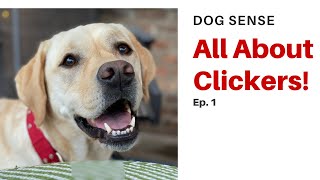 Dog Sense (Ep.1) - All About Clickers! by Training Positive 9,331 views 3 years ago 6 minutes, 3 seconds