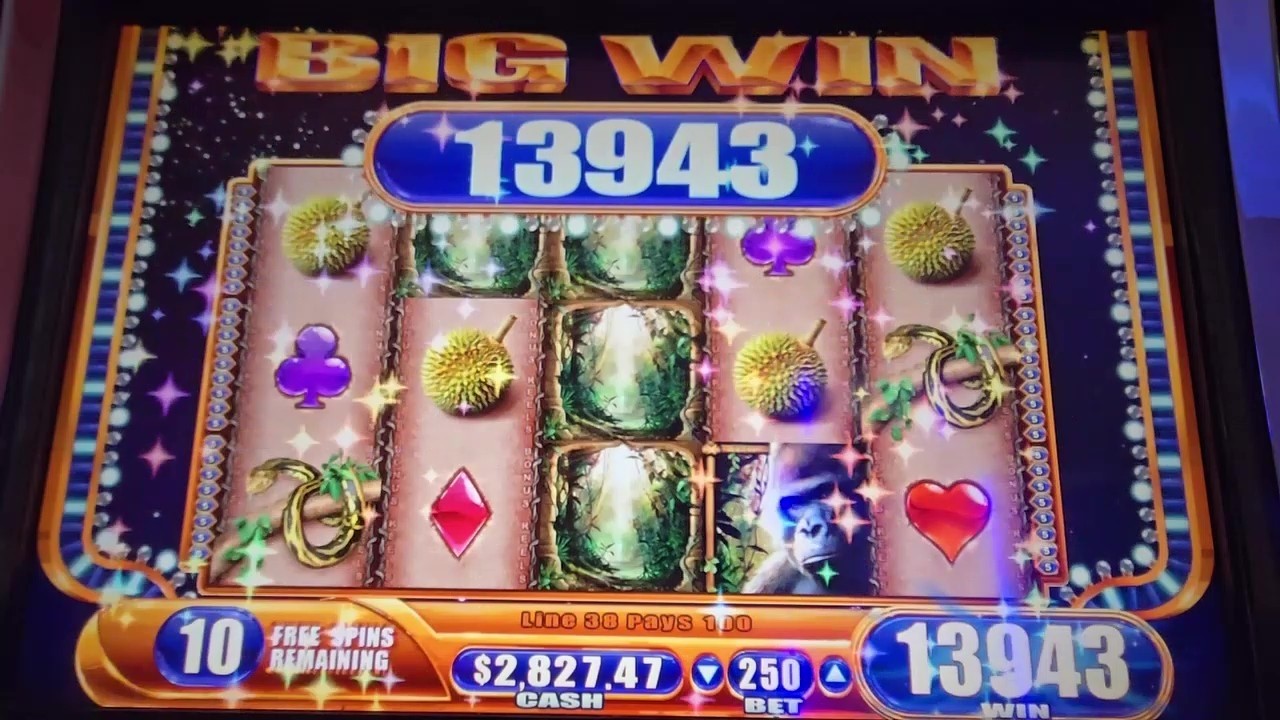 QUEEN OF THE WILD BIG WIN BONUS AND LINE HITS