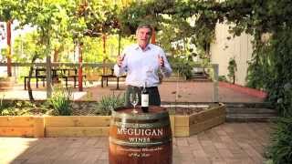 Tasting Note - McGuigan Wines Farms Shiraz