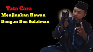 Tata Cara Menjinakan Hewan Dengan Doa Sulaiman
