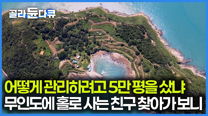 원 없이 낚시나 해보려고 교통편도 없는 무인도를 산 남자, 어떻게 살까｜한국기행｜#골라듄다큐
