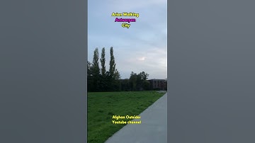 trees moving by themselves explained in belgium