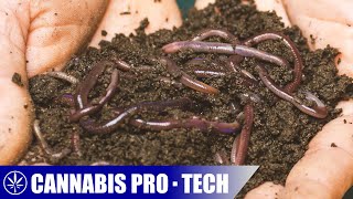 Making Worm Castings with a Stacking Worm Bin