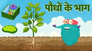 पार्ट्स ऑफ़ प्लांट्स | पौधों के भाग | Parts Of A Plants In Hindi | Dr. Binocs Show | Plants Videos