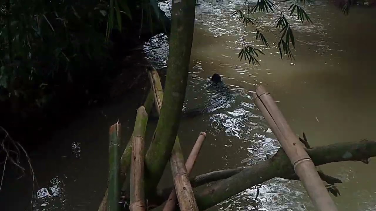 petualang melihat ada mahluk disungai panjang 20 m  apa hantu banyu tu
