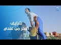 طالما هو مافيش أدب يبقى نتربى